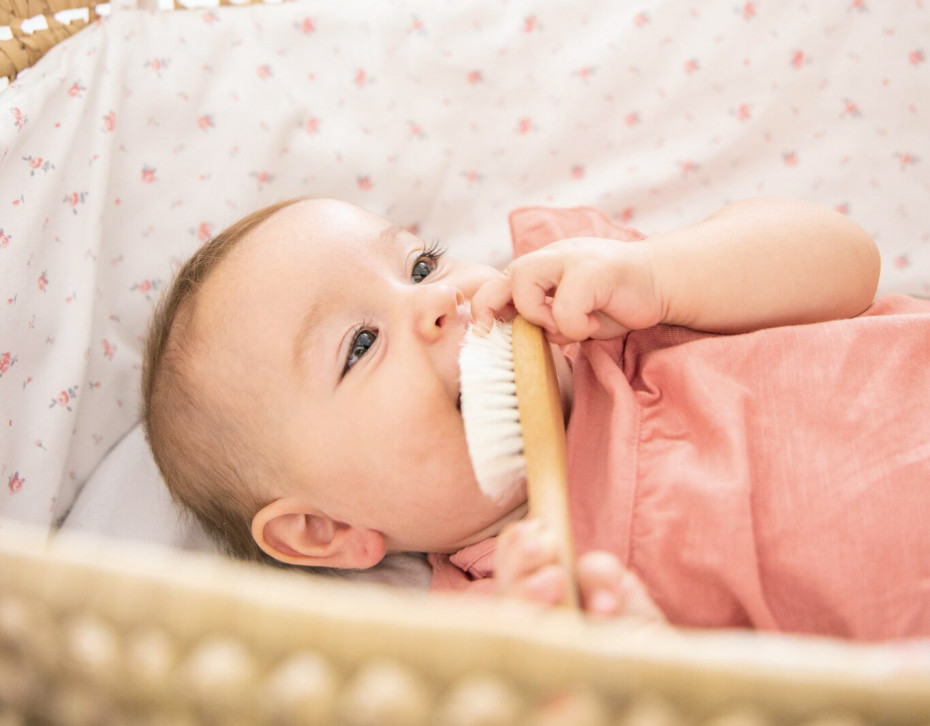 Set de brosses naturelles